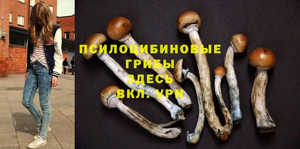 ECSTASY Аркадак