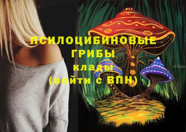 ECSTASY Аркадак